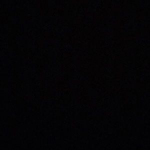 Meet your Posher, Landon